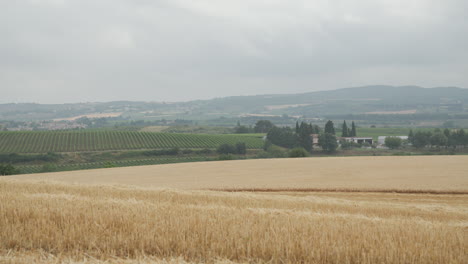 Rolling-hills,-farmland-and-wineries-in-southern-France-on-an-overcast-day