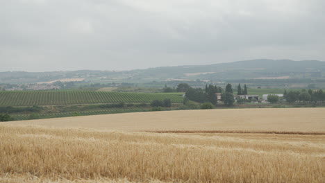 hügel, ackerland und weingüter in südfrankreich an einem bewölkten tag