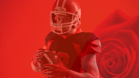 Animation-of-american-football-player-holding-ball-over-red-rose-background