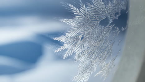 close-up of a snowflake