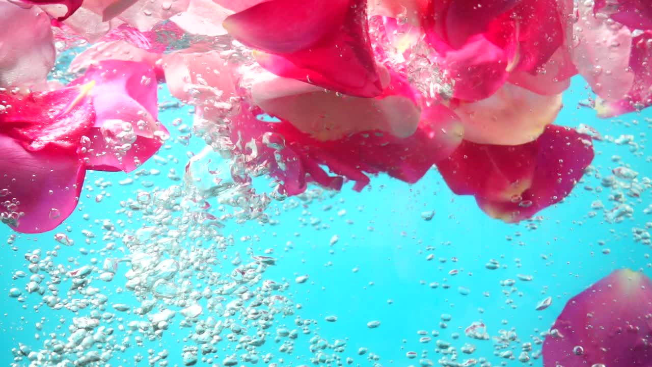 Petali di rose cadono nell'acqua. Sfondo. Movimento rallentato.