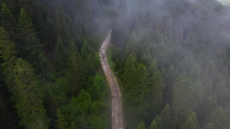 aerial: people walking down road through misty forest on mountainside