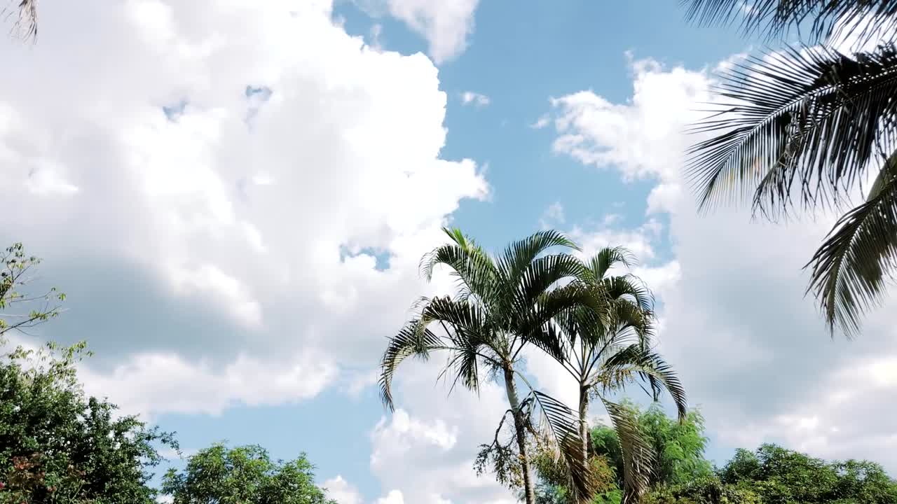 Time lapse of clouds passing in the beautiful blue sky, green trees make up the scenery