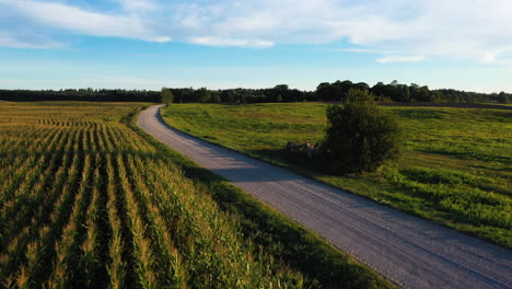 gravel countryside road surrounded by meadow and crop field, aerial drone view