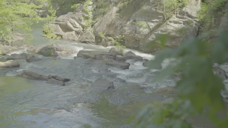 rapids at nature reserve national park