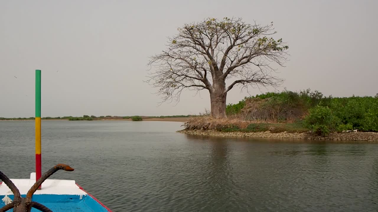 paseo en barco por el río en el sur de senegal