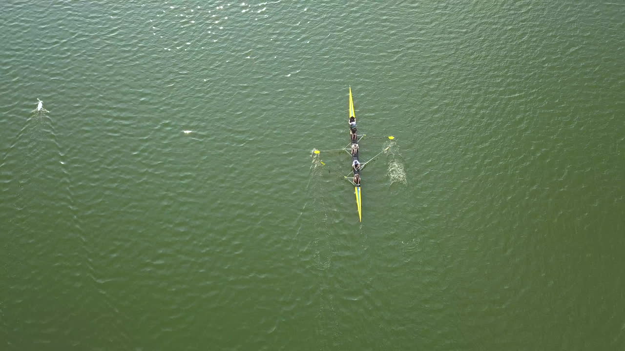 vista aérea de dos personas remando un bote amarillo en un lago junto a dos cisnes blancos