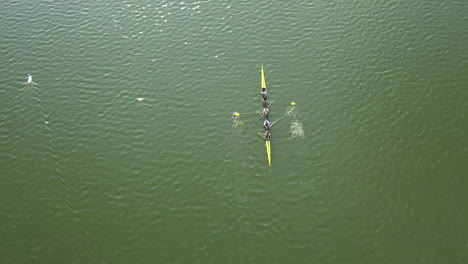 aerial view of two people rowing a yellow boat on a lake next to two white swans