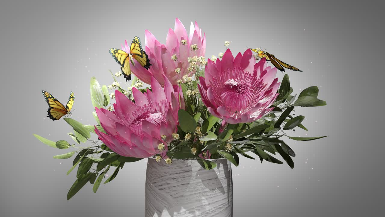 летающая бабочка вращение медленная анимация последовательность с хроматической клавишей, альфа-канал. бесперебойный цикл