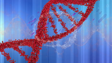 animación de líneas púrpuras y cerebro digital sobre cadena de adn