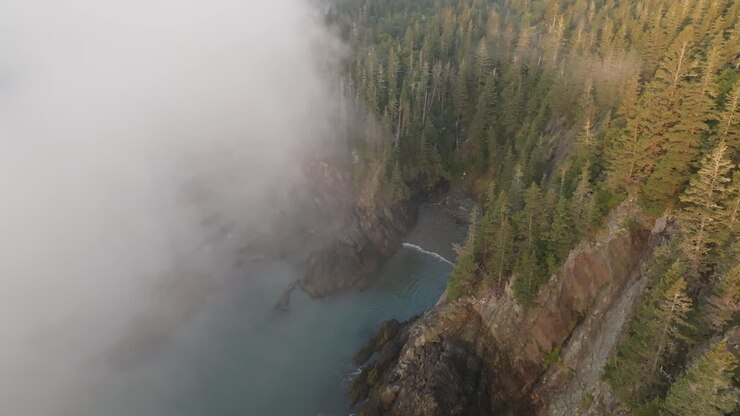Breathtaking Orbit Around Maine's Coastal Forest Illuminated by Sunrise Glow