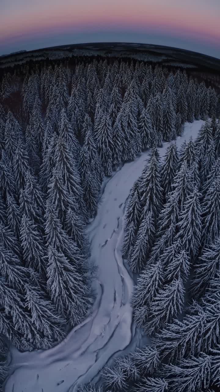 Aerial view of a snow-covered forest with a winding river at dusk, creating a serene winter