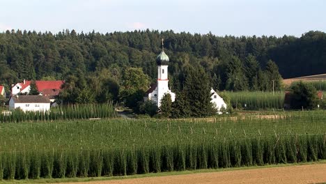 raro panorama de la iglesia de peregrinación "lohwinden" con jardín de lúpulo en frente