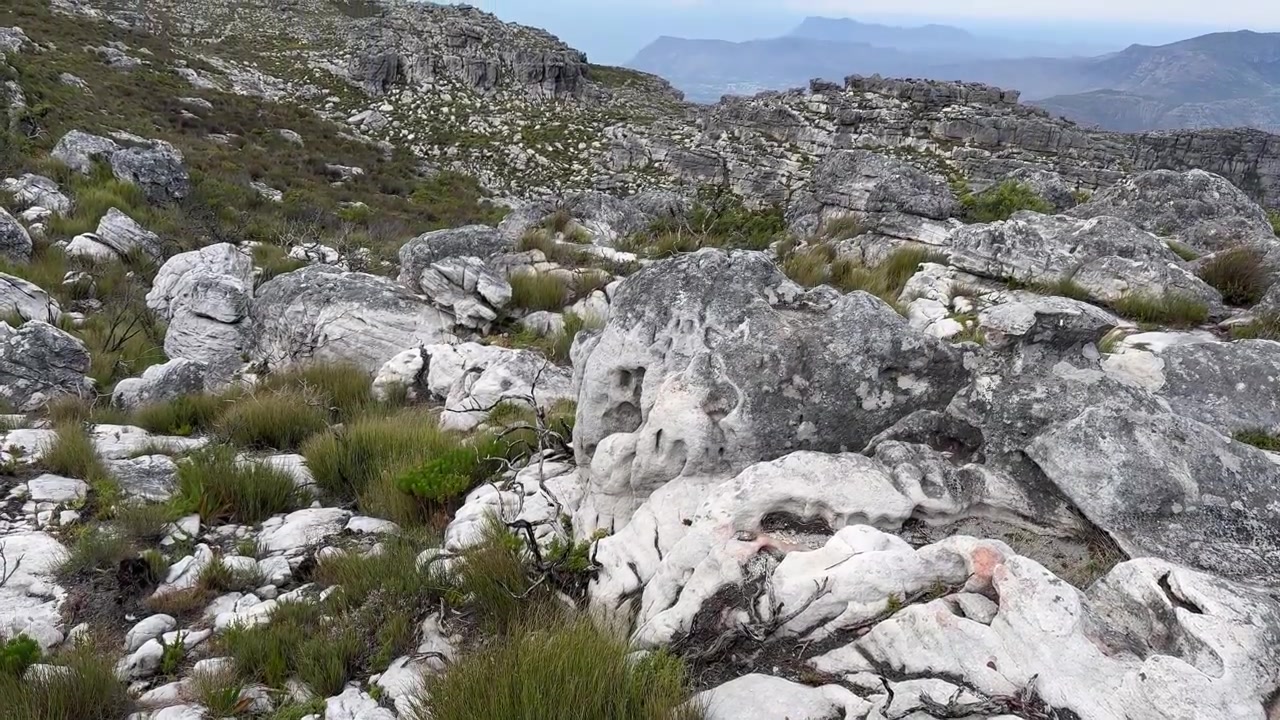 Panoramica verso l'alto di terreno roccioso sulla Table Mountain. Città del Capo, Sudafrica.