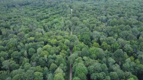 Flug-über-Eine-Straße-Mitten-Im-Wald,-Frankreich