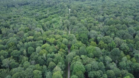 volando sobre una carretera en medio de un bosque, francia
