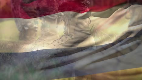 animation of flag of netherlands over diverse soldiers