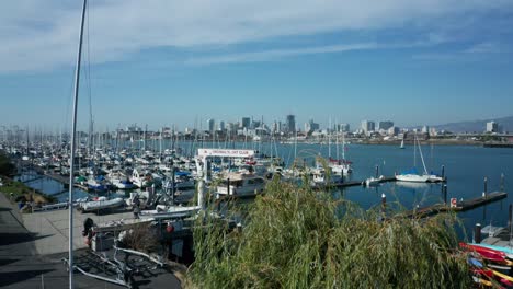 a rise and slow reveal of the sailing industry and marina on a siunny day