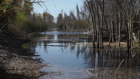 colorado river delta rehabilitation area in mexico