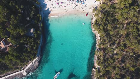 aerial top down shot in 4k of a tropical bay with floating boats on blue clear water in mallorca, spain.