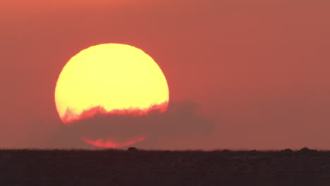 Große-Sonne-Geht-Am-Orangefarbenen-Himmel-Auf