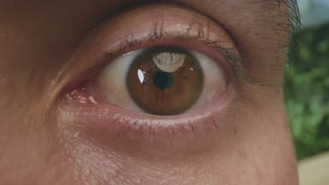 striking close-up of a brown human eye, with visible reflection in the pupil and realistic details in the skin.