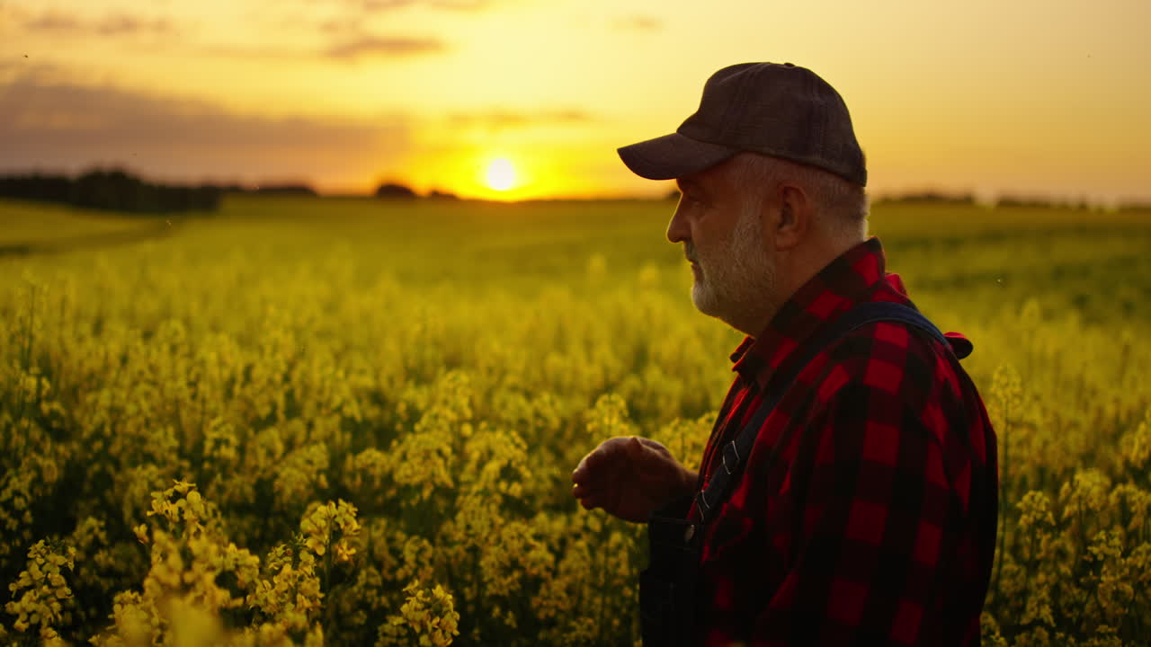 Agricultor pensativo em pé em um campo de colza amarelo ao pôr do sol