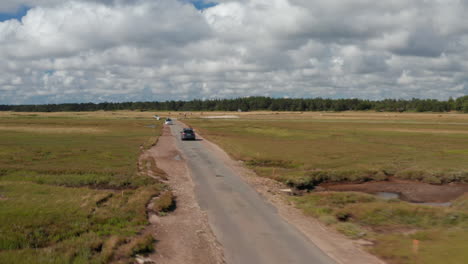 Cars-are-passing-by-each-other-on-narrow-asphalt-road-in-countryside.-Grazing-livestock-on-pastures-along-road.-Denmark