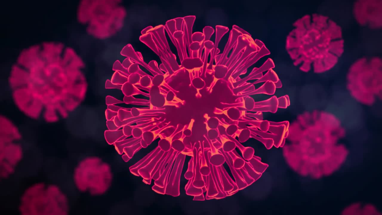 animación de glowing pink 3d macro coronavirus células de covid-19 que se propagan en un fondo oscuro.