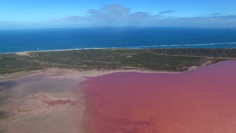 澳洲粉色盐湖 (pink salt lake) 的空中景色