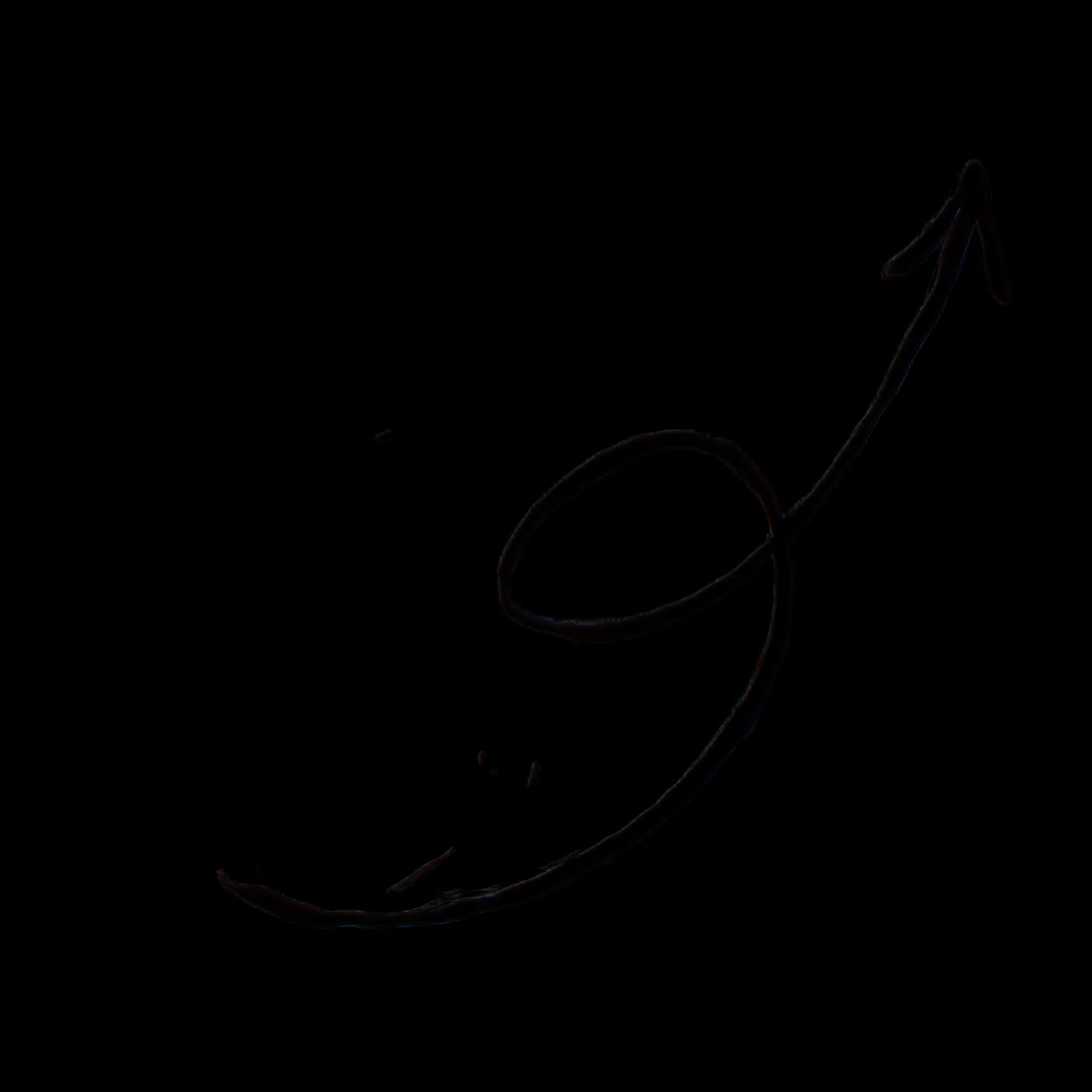 Curved arrow animation isolated asset, transparent 4K video, alpha channel, ProRes 4444