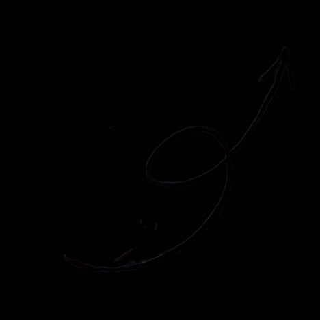 curved arrow animation isolated asset, transparent 4k video, alpha channel, prores 4444