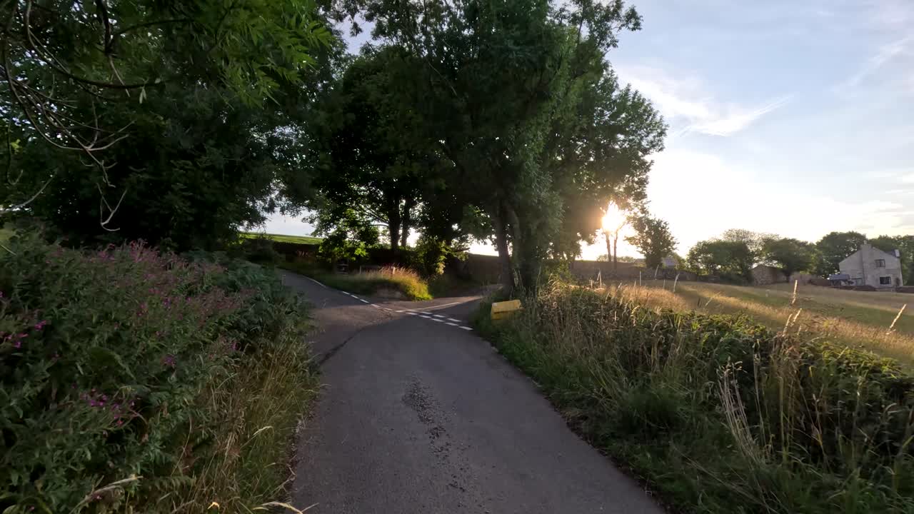 A cyclist travels along a narrow rural lane bordered by trees and fields, illuminated by warm sunset light, with gentle camera movement and natural ambiance