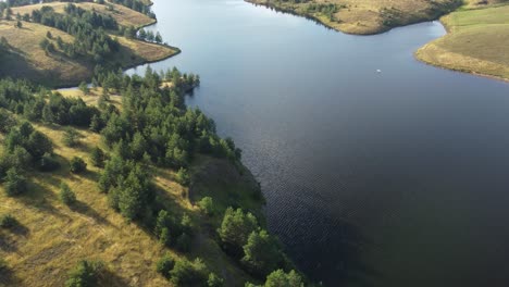 Aerial-view-of-a-lake-surrounded-by-green-pine-trees-and-man-standing-on-paddle-board-in-the-middle-of-the-lake,-sunny-summer-day