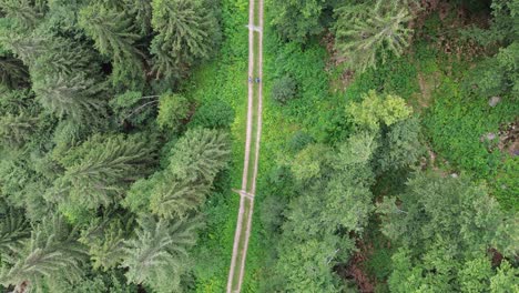 lines and walks in drone of the scouts group helps to know yourself, seeking the wild life