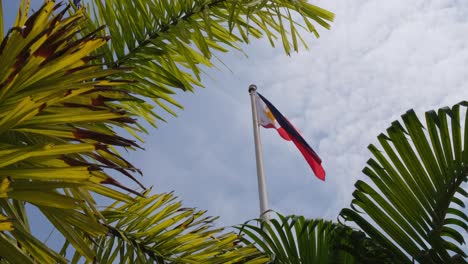 beautiful blue and red flag of the philippines seen through palm branches while the sky is cloudy