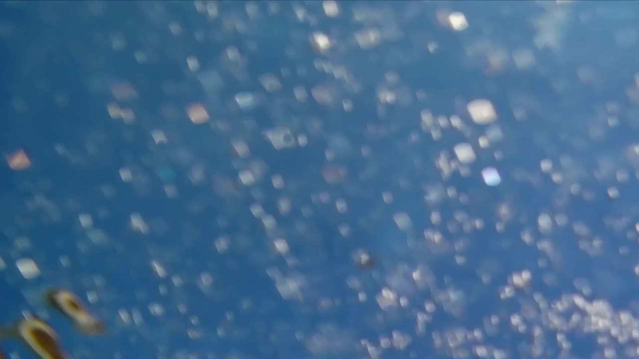 bucle marino sin costuras bajo el agua