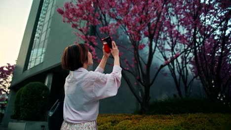 woman taking picture of cherry blossoms in front of a modern building