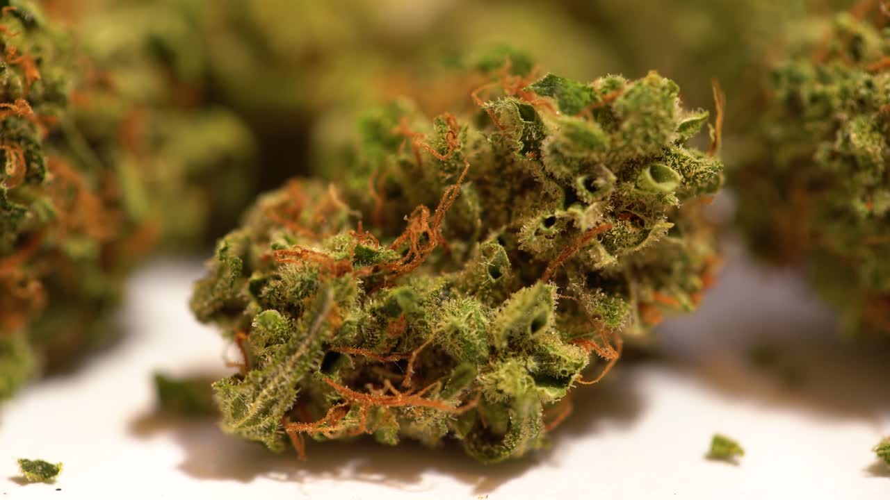 Tilt down with marijuana bud coming into focus