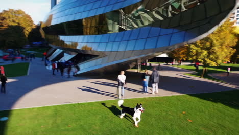 dog running in a city park with modern architecture