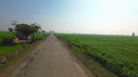 crop-fields-wide-view-in-a-village