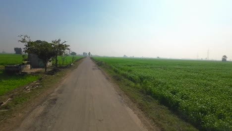 Vista-Amplia-De-Los-Campos-De-Cultivo-En-Un-Pueblo