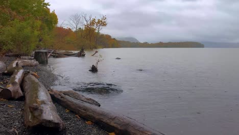 a rainy coast with driftwood during fall in new york's hudson valley with driftwood in the foreground and mountains in the background