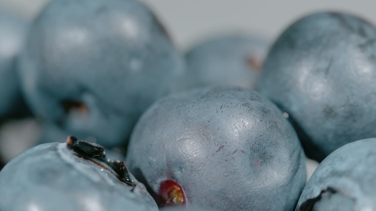 맥로, 도프: 밝은 빛 아래 반이는 맛있는 유기농 블루베리 한 손잡이.