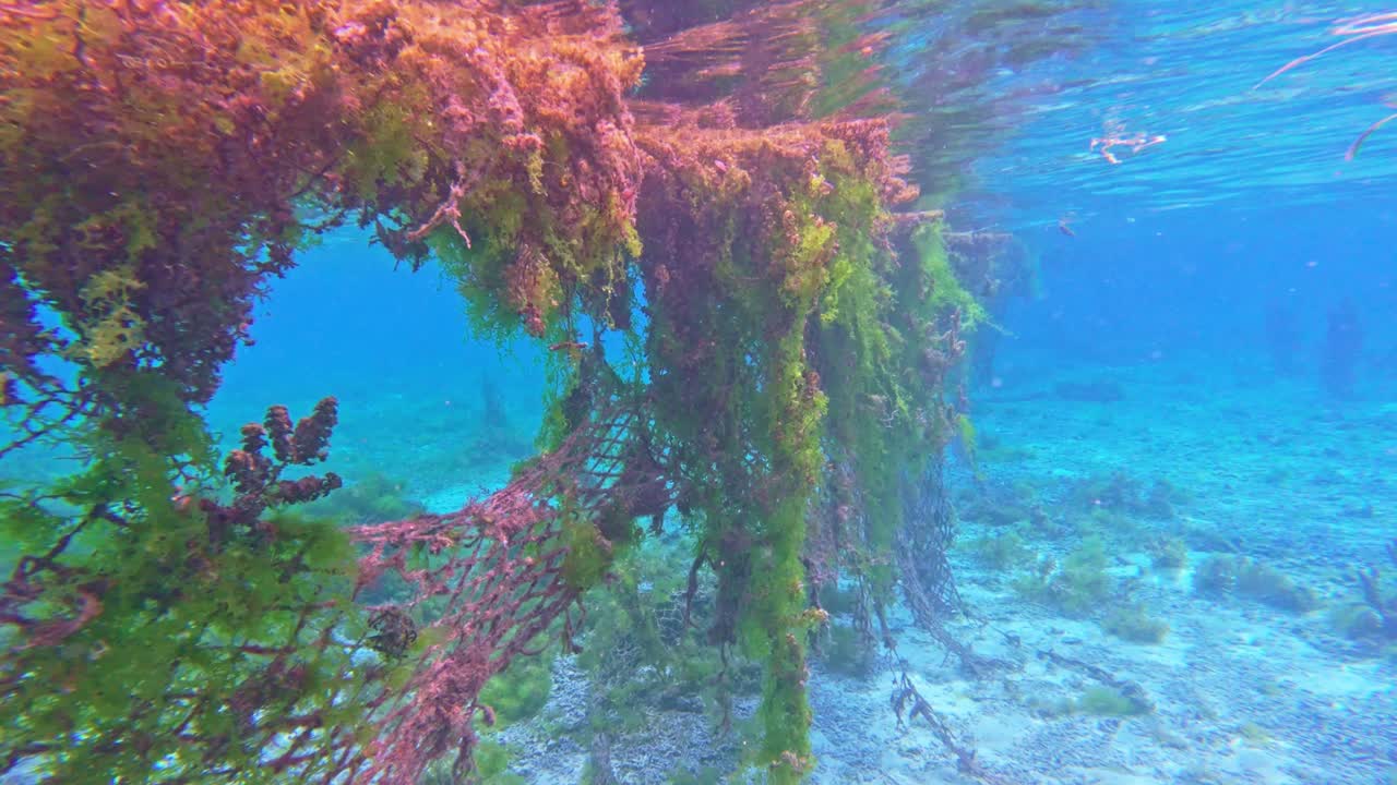 Discarded fishing nets cause environmental problems caught on coral reefs in the Philippines.
