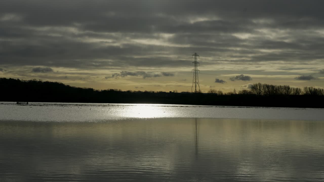 모스로 인 높은 나무의 홍수 숲 풍경