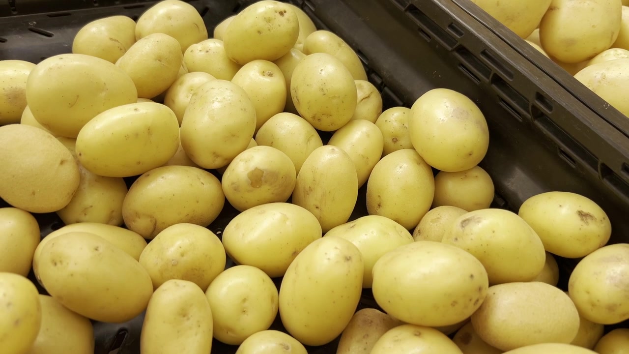Pianta di patate, ortaggio amidaceo tuberosa, alimento base, fresco di supermercato