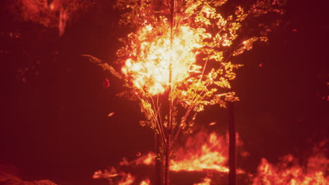 burning tree in forest fire at night