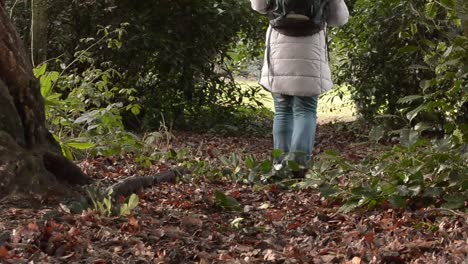 Wanderer-Verlässt-Den-Wald