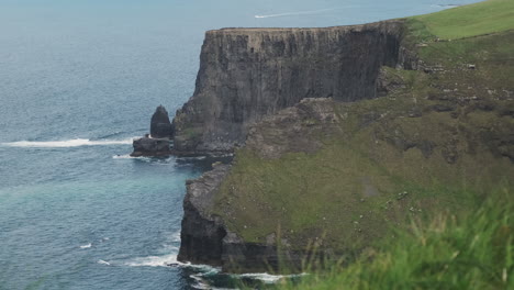 slow pan cliffs of moher with grass in the foreground